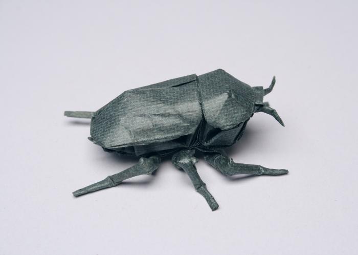 Picture of Chrysina Bettle Origami Design created by Lang